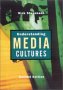 Understanding media cultures