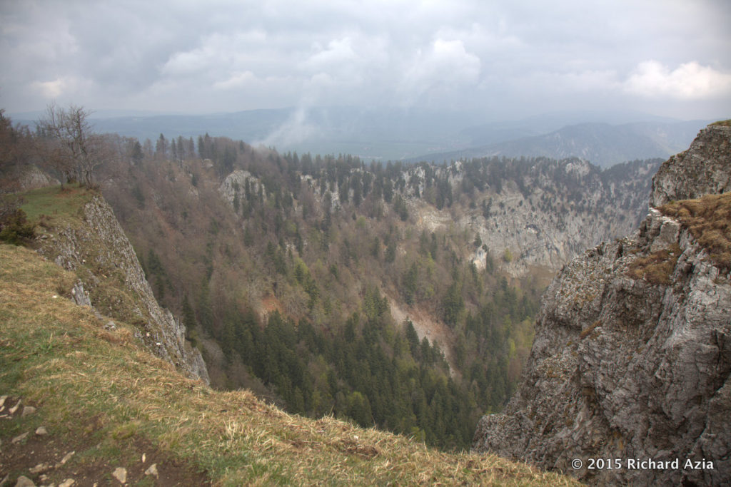 One of the first views as you emerge from the woods and see the landscape open up