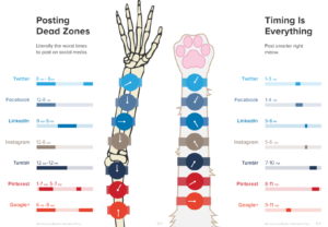 The fallacy of dead times