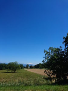 Some of the landscape you see