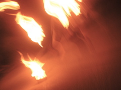 PICT0037