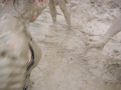 PICT0019