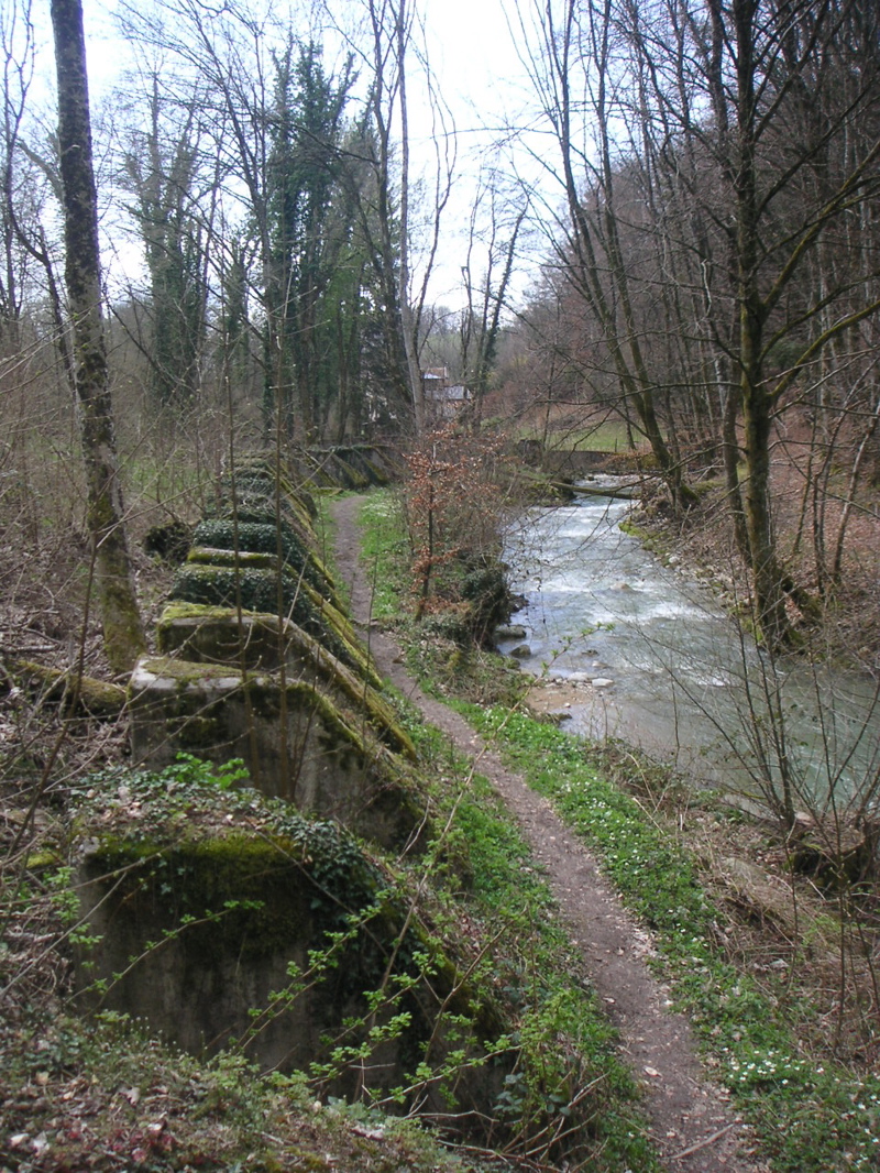 PICT0012.JPG