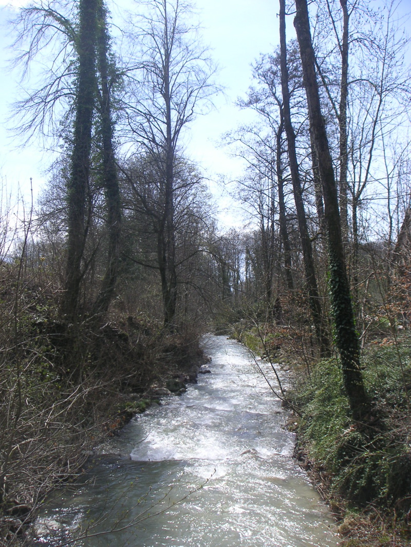 PICT0014.JPG