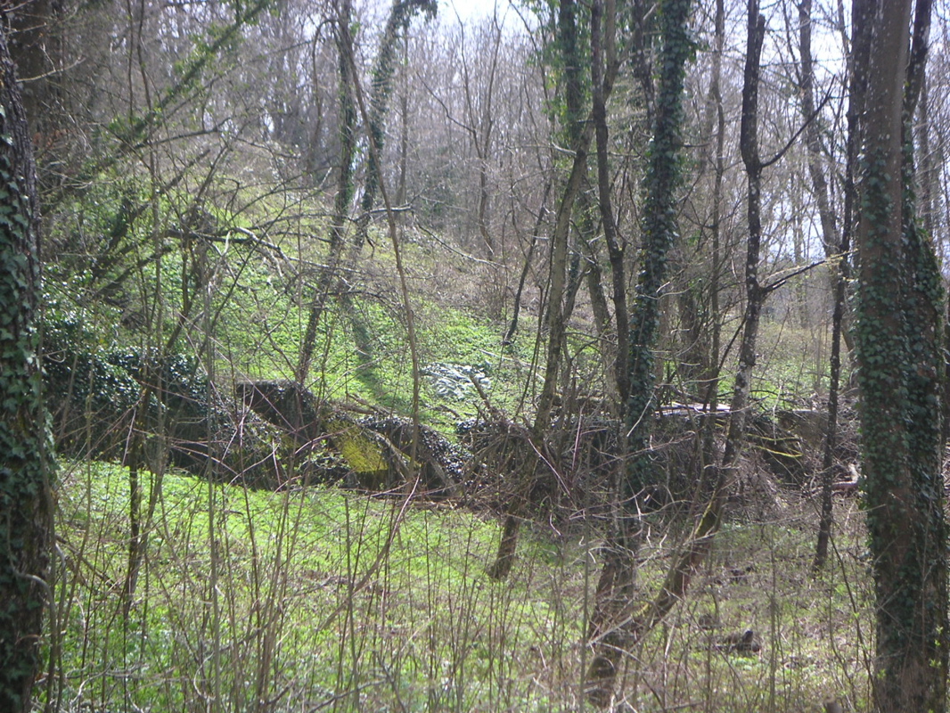 PICT0017.JPG