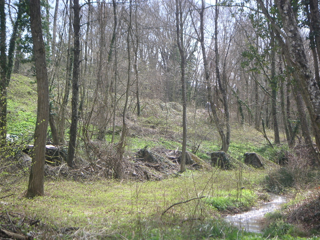 PICT0018.JPG