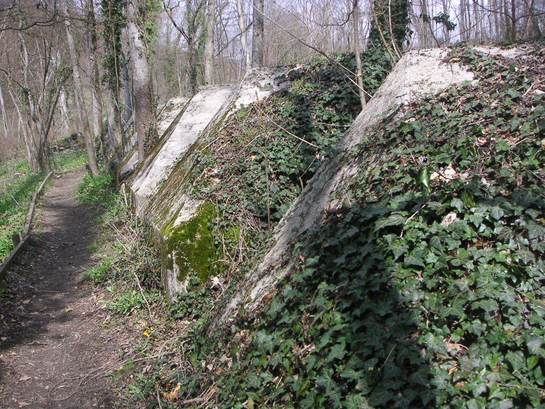PICT0022.JPG