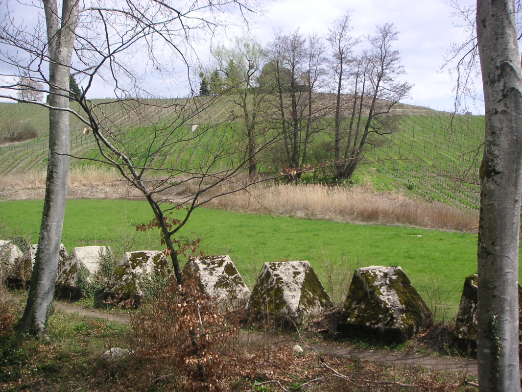 PICT0023.JPG