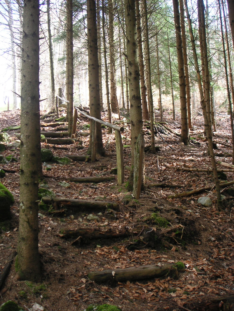 PICT0004.JPG