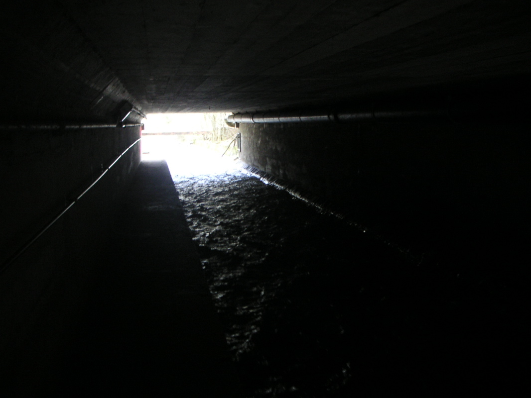 PICT0033.JPG