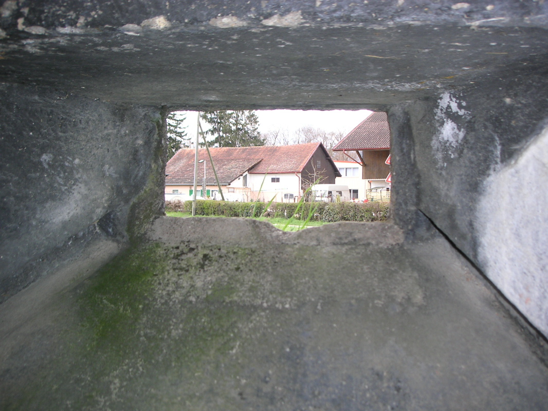 PICT0035.JPG
