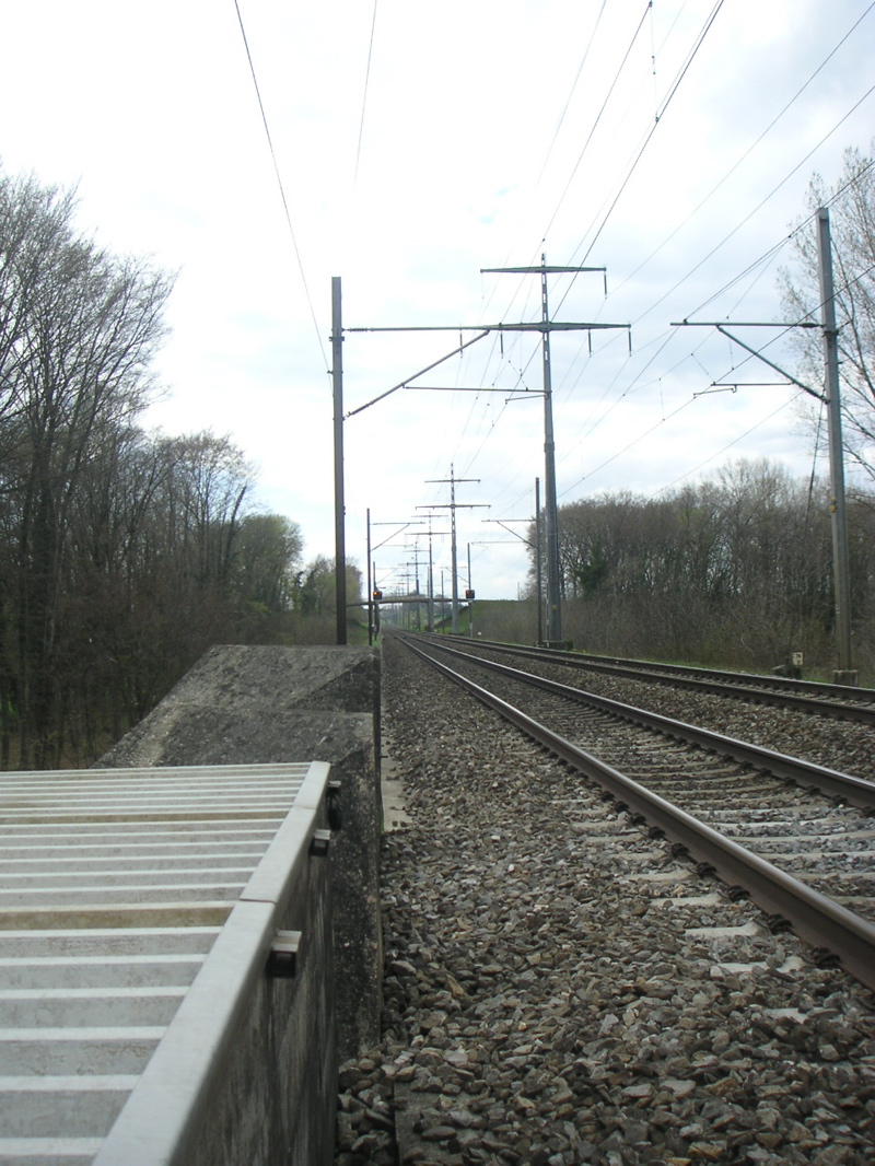 PICT0042.JPG