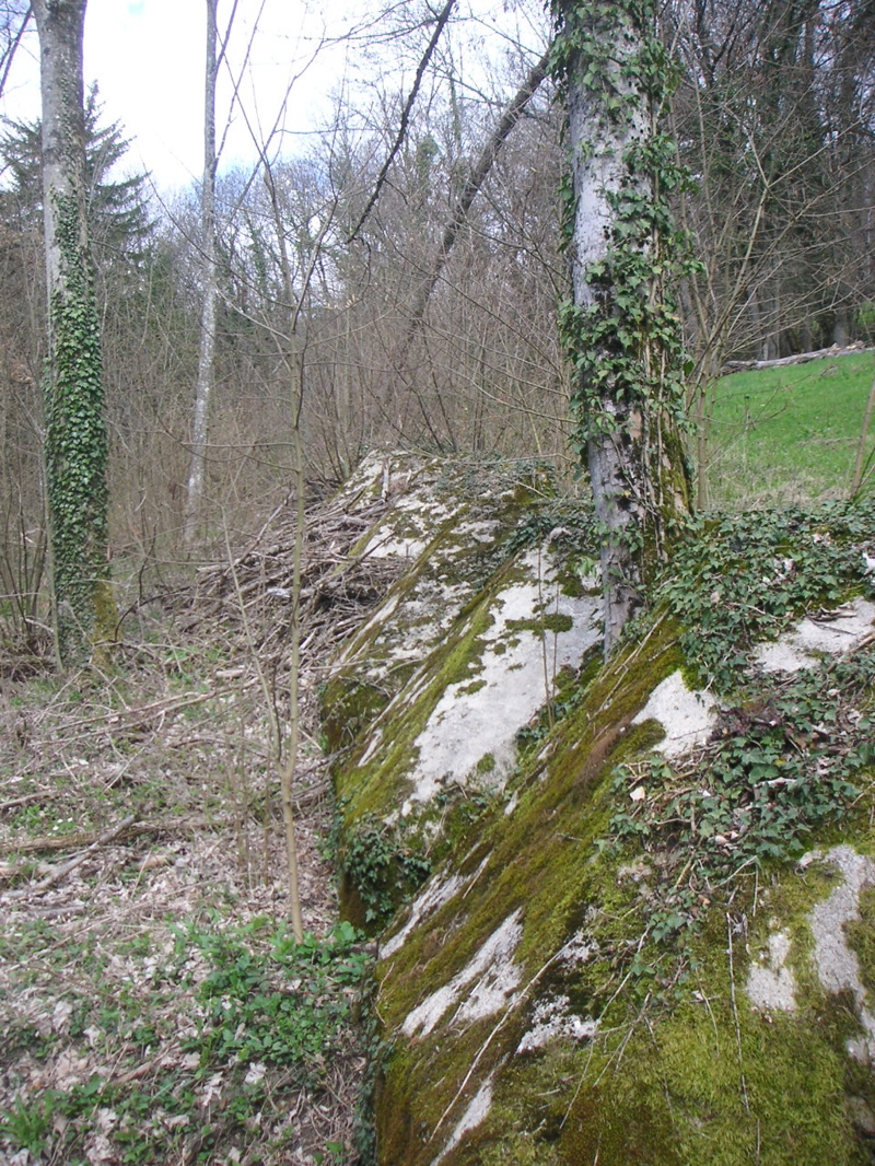PICT0007.JPG