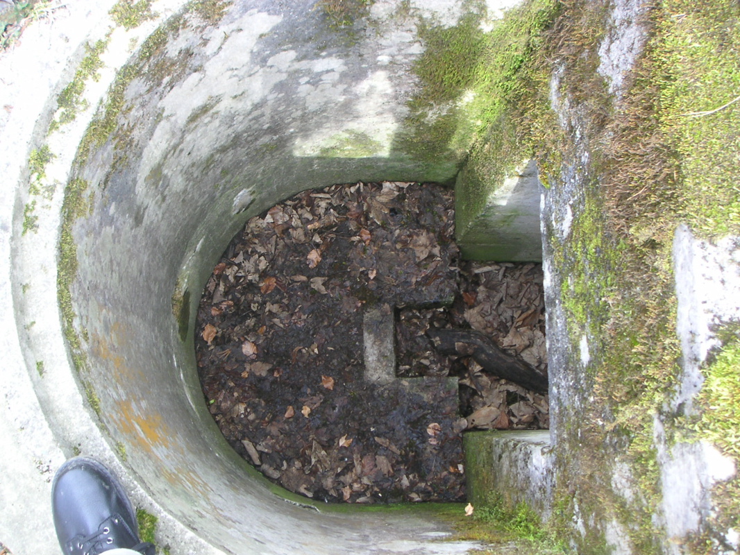 PICT0008.JPG