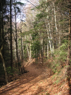 PICT0001.JPG