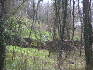 PICT0017.JPG