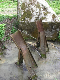 PICT0019.JPG