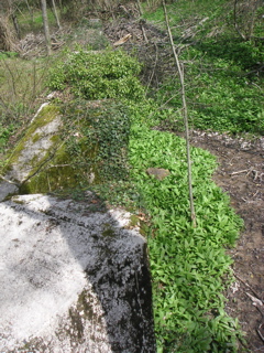 PICT0021.JPG