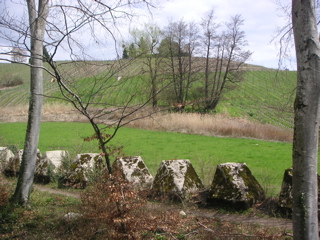 PICT0023.JPG