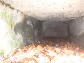 PICT0024.JPG