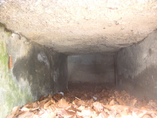 PICT0025.JPG