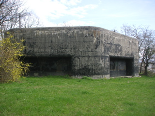 PICT0029.JPG