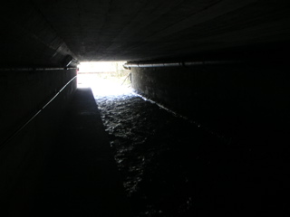 PICT0033.JPG