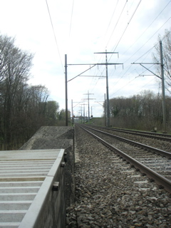 PICT0042.JPG