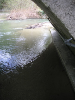 PICT0047.JPG