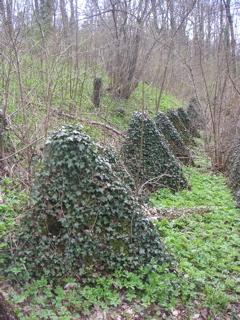PICT0010.JPG