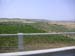 vines