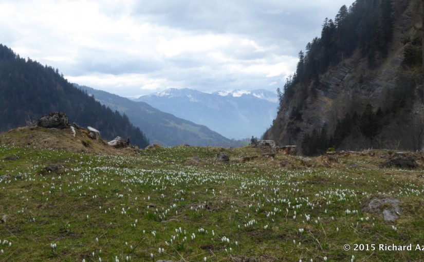 Switzerland, Fitness centres and the mountains