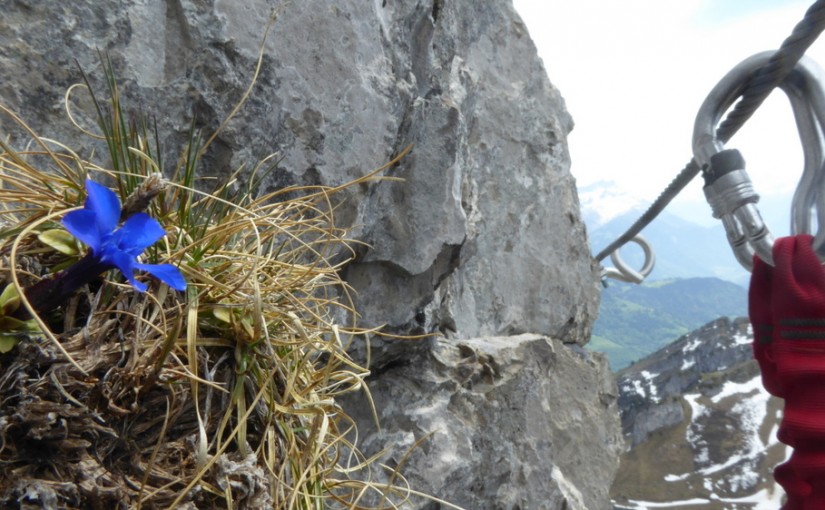 Tour D’AÃ¯ Via Ferrata