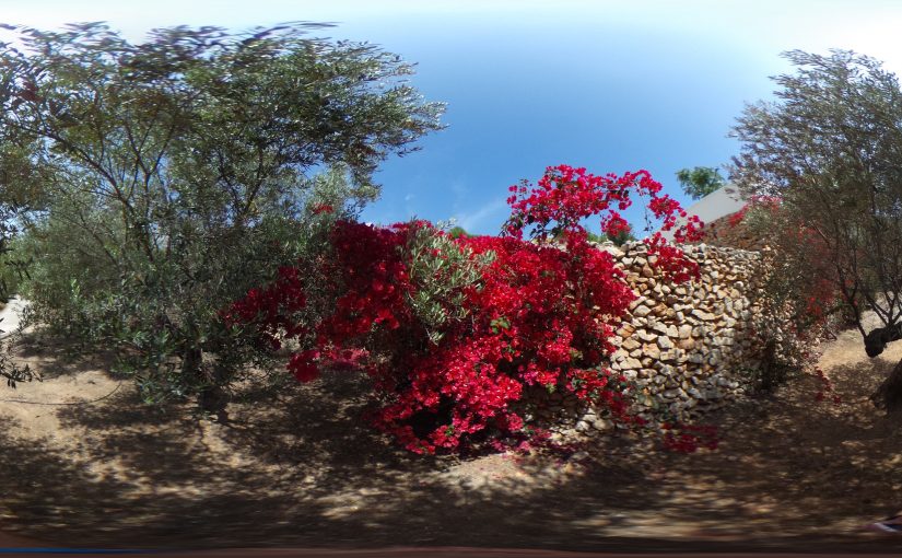 Experimenting with Spherical photographs