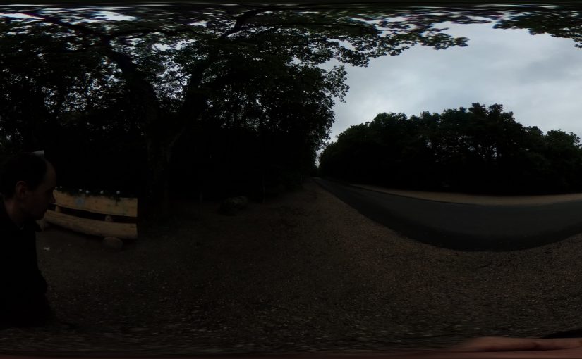 A 360 timelapse walk through the woods