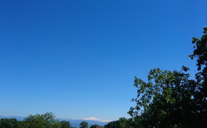 Some of the landscape you see