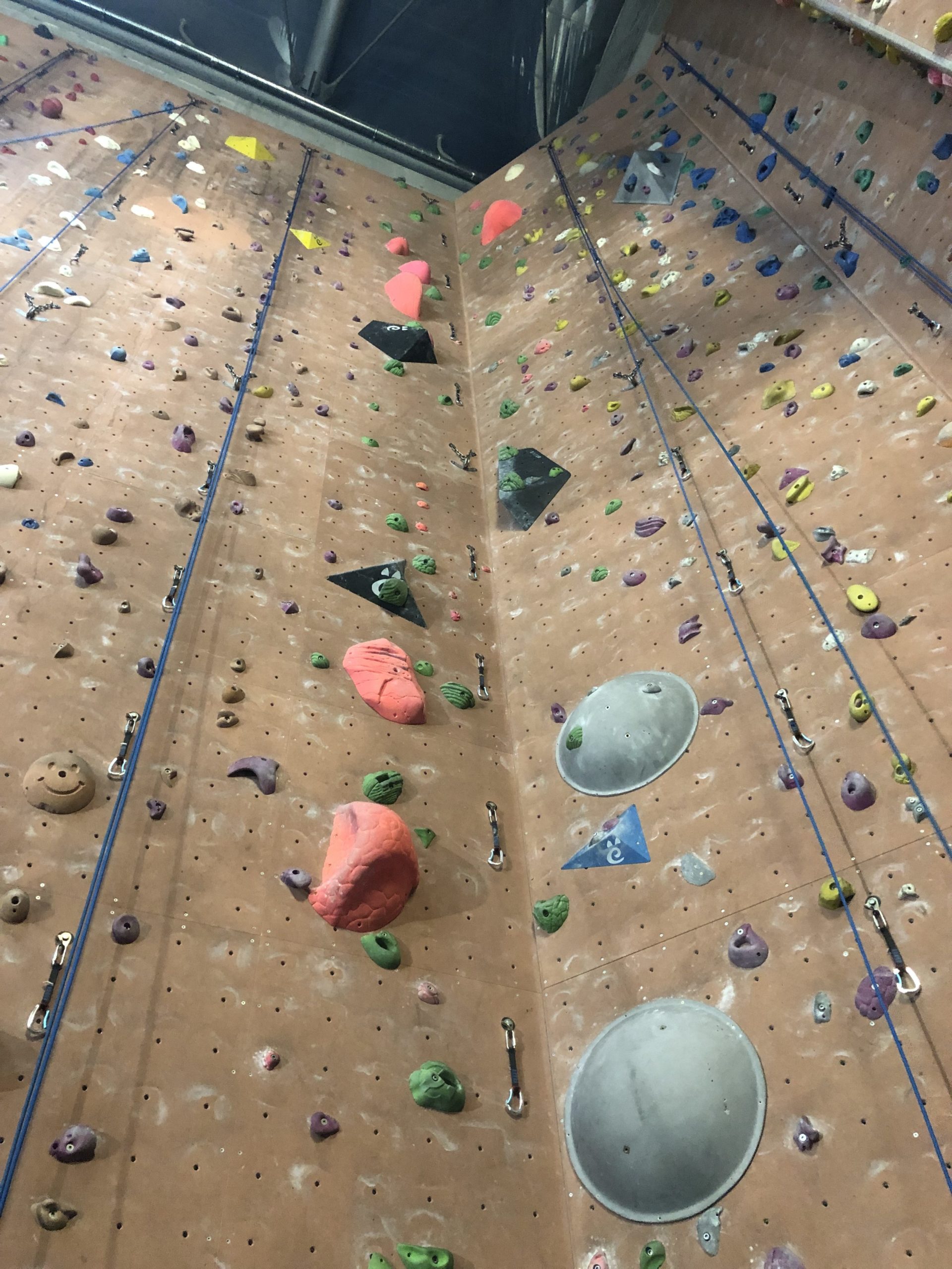 The Climbing Wall at Vitam Park - The pink route is a 6C route