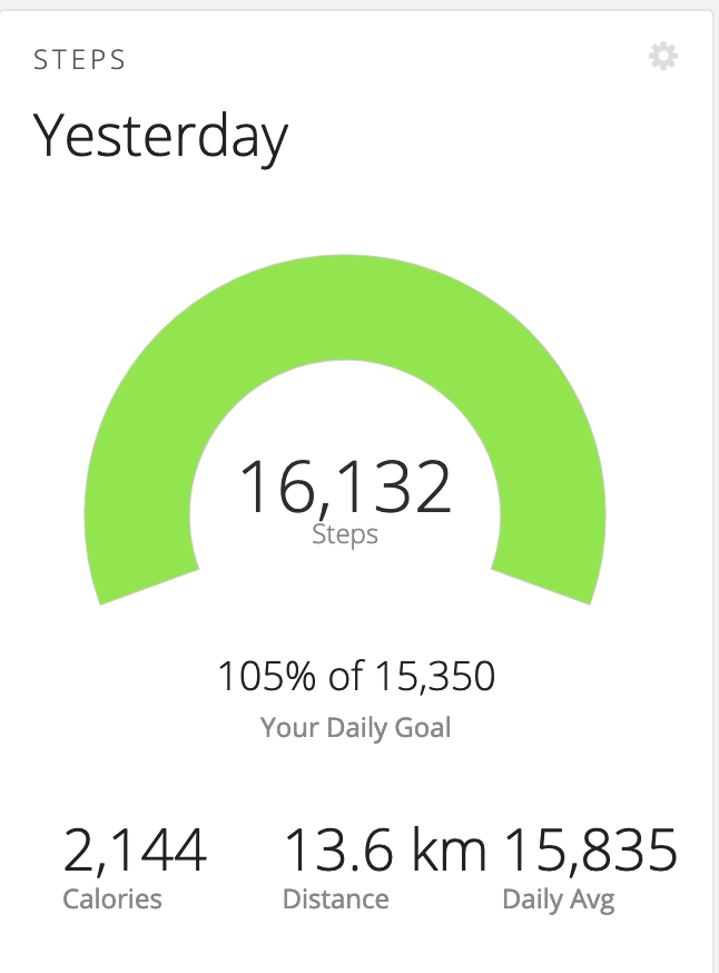 Garmin Connect and the Daily Step Goal