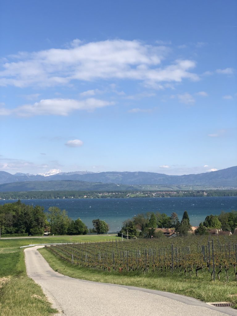 Looking down towards the Lac Leman. You can see the white lines at the top of waves being pushed along by the wind.