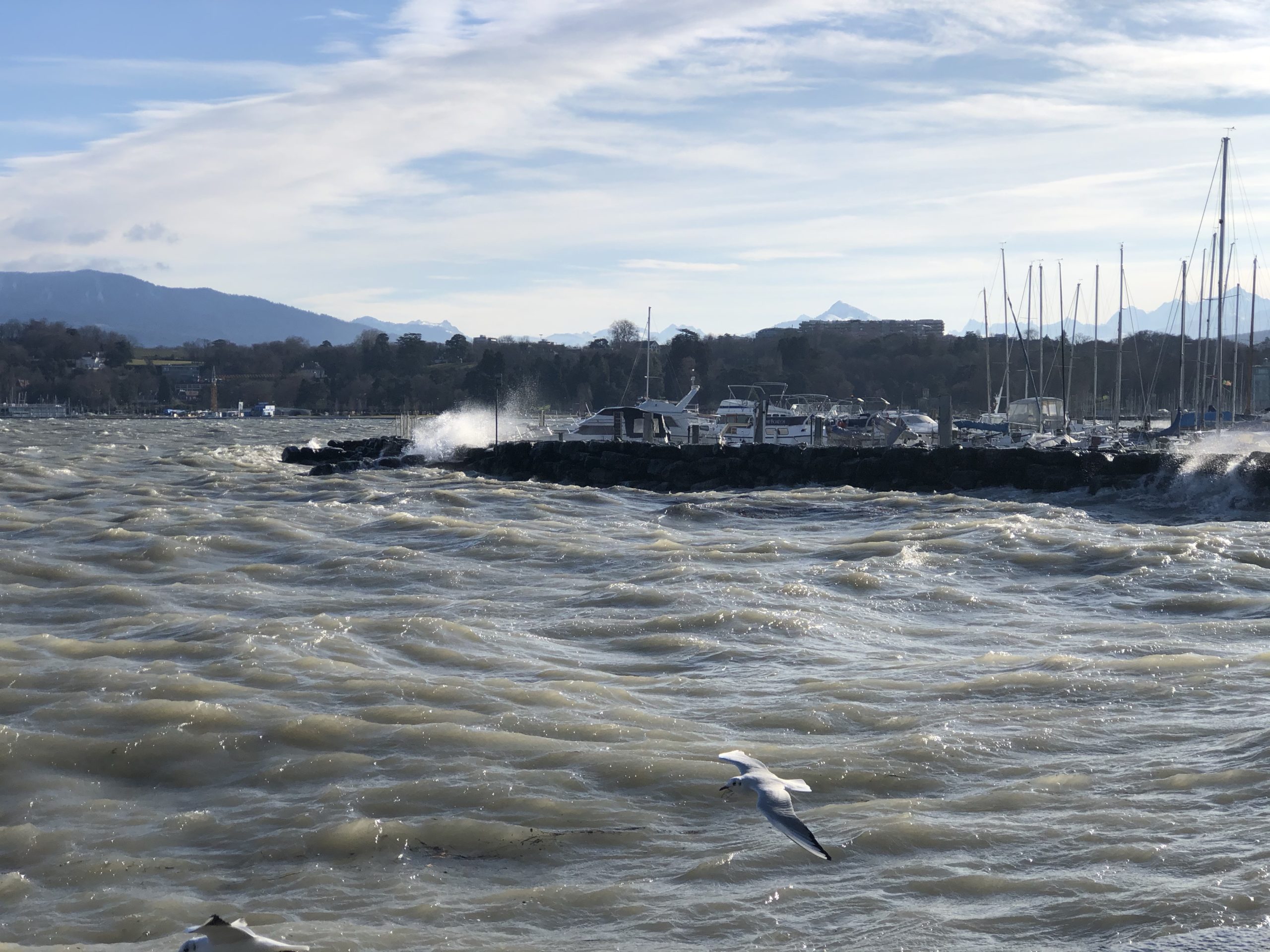 A Windy Day In Geneva