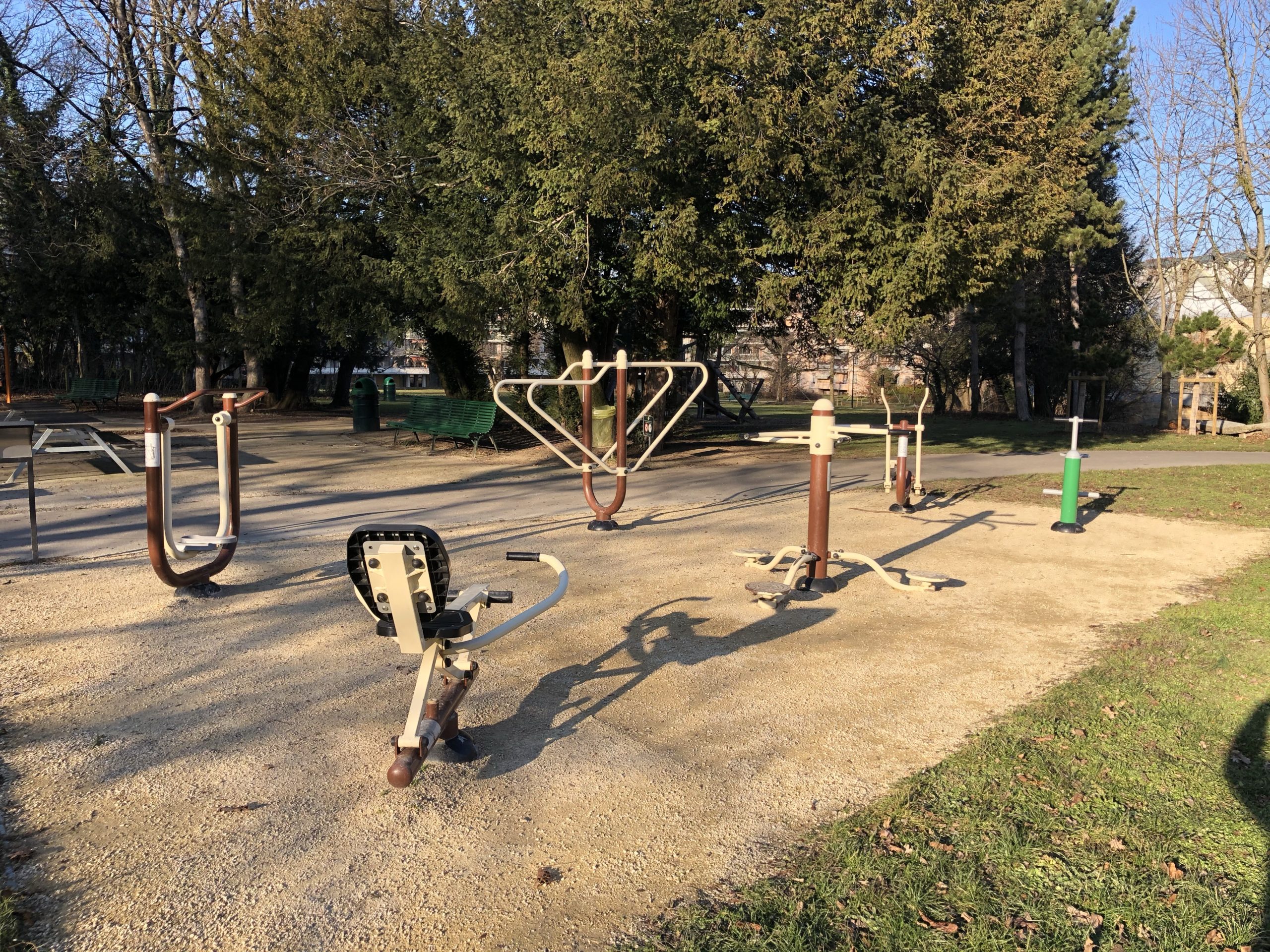 An Adult Playground Near a Children’s Playground