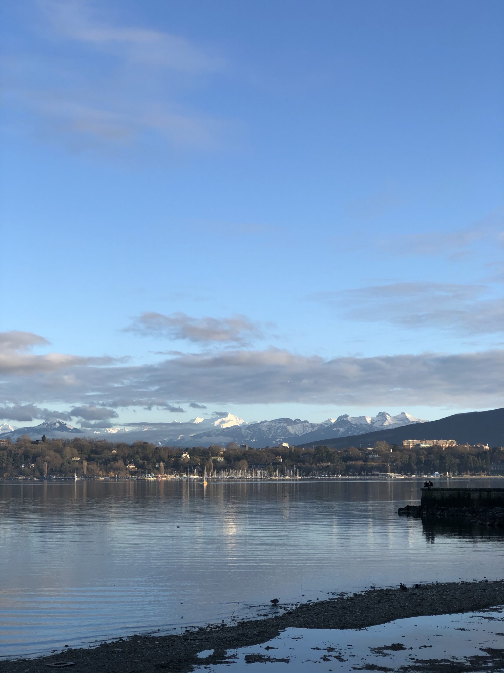 View of the Alps and the Lac Léman