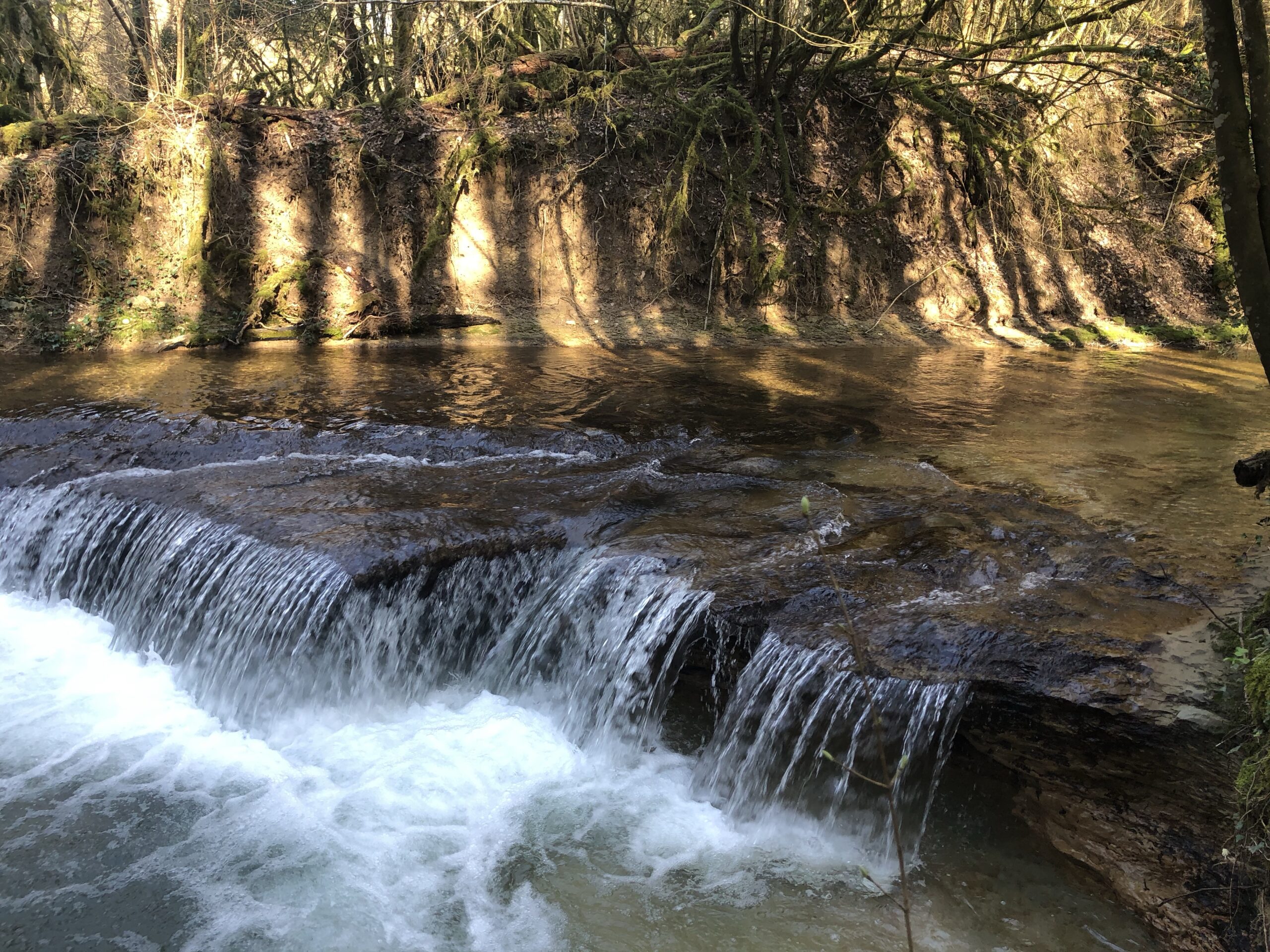Day Four of Orca in Switzerland – Exploring the Trail Less Travelled