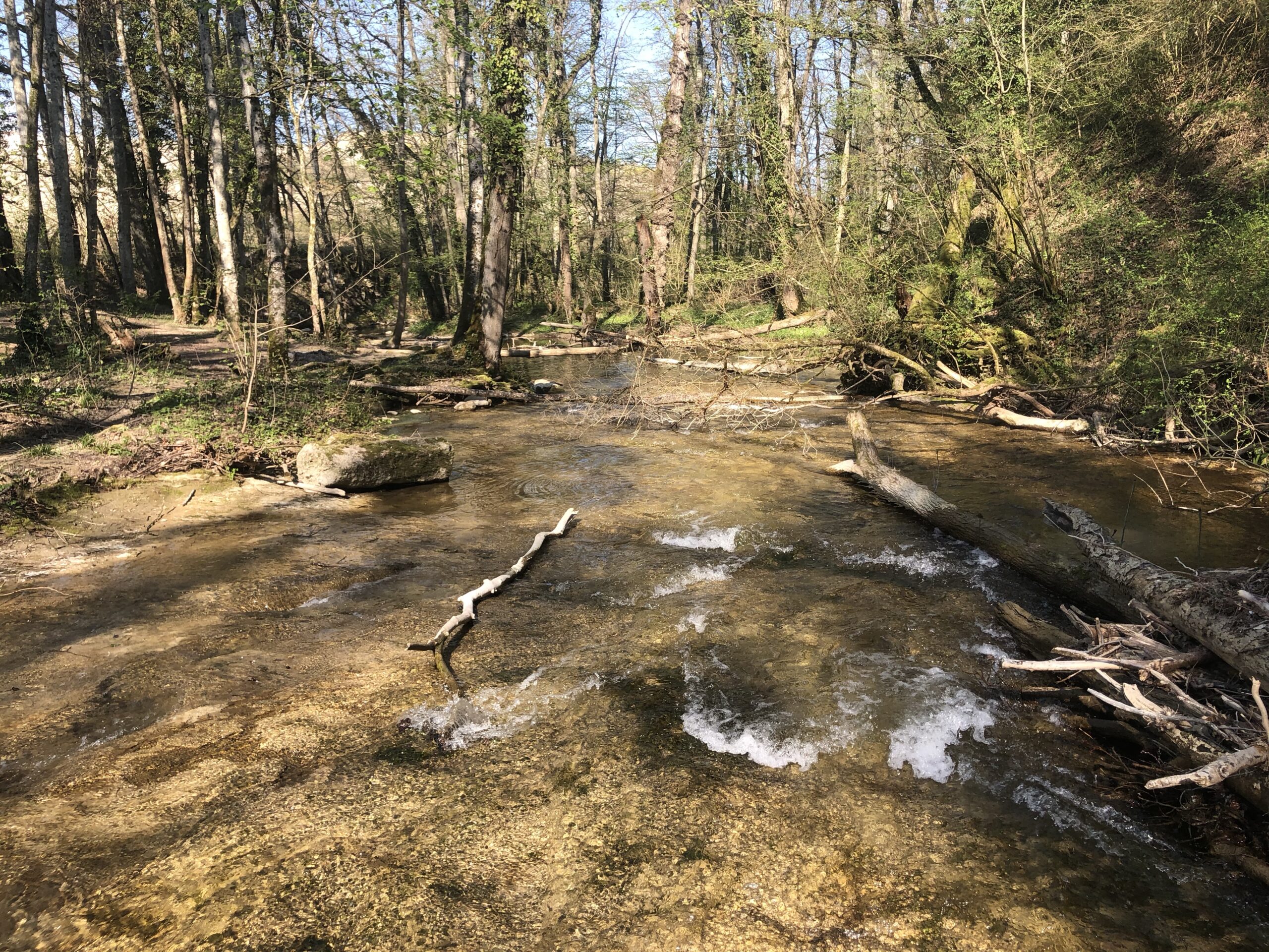 Day Twenty-seven of ORCA in Switzerland – River Walking