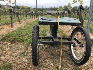 A seat on wheels in the vineyards.