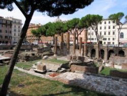 Roman Ruins in Rome
