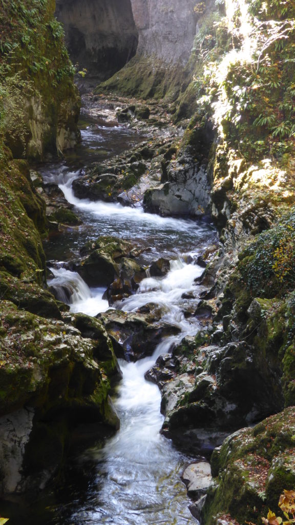 A river gorge near Planches en Montagnes In the French Jura