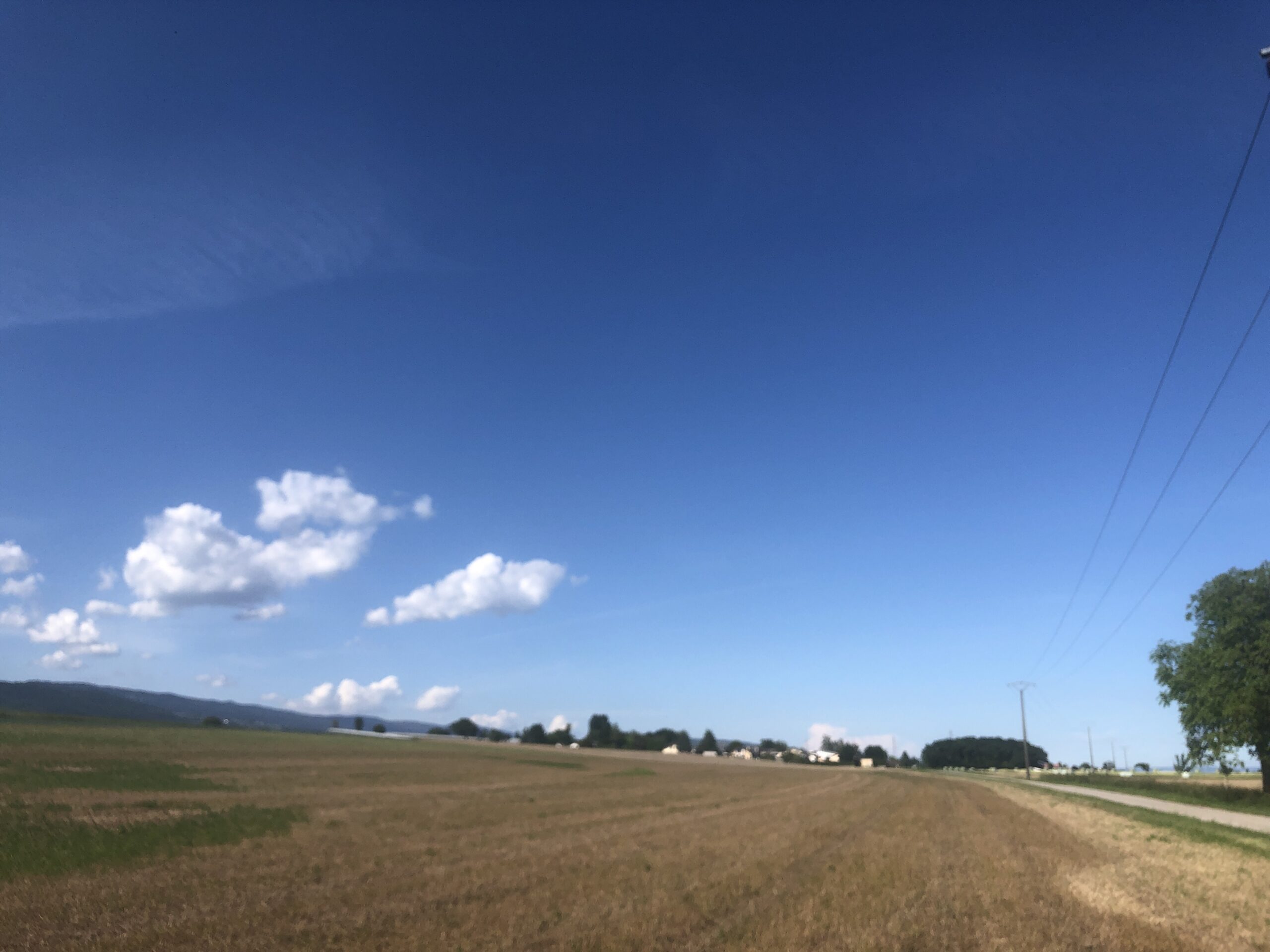 A view of fields in the Canton De Vaud with the Jura to the left.