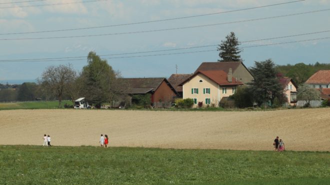 Walking Through Mud