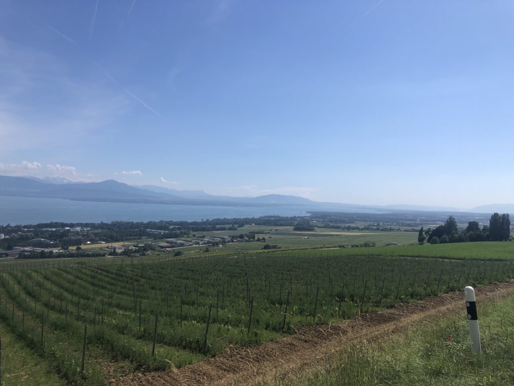 View towards Geneva